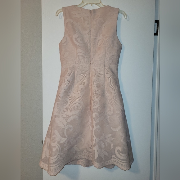 Jax pink lace overlay dress size 4 - Picture 2 of 7